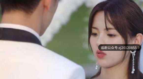 仲夏满天星电视剧全集免费观看 柠檬影院在线播放24集完整版
