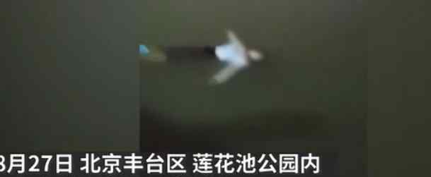 女孩落水冷静漂浮自救 网友惊叹心理素质太强