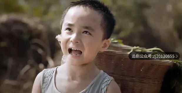 以家人之名电视剧免费观看 在线版全集高清播放
