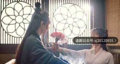 琉璃美人煞在线观看免费全集高清 免费看天天