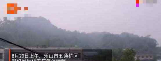 官方通报四川乐山疑似化工厂毒气泄漏 已控制暂无人员伤亡