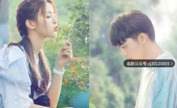 仲夏满天星全集高清在线观看 1到24集手机免费观看全集