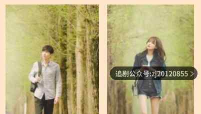 与晨同光电视剧免费观看 1-24全集高清完整版