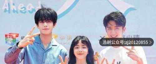以家人之名凌霄贺子秋为什么出国 第几集回来