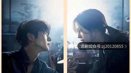 恶之花韩剧完整版在线观看 黑蚂蚁免费看