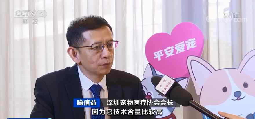 宠物医疗保险来了！一个月交33块 看病可赔付这些钱