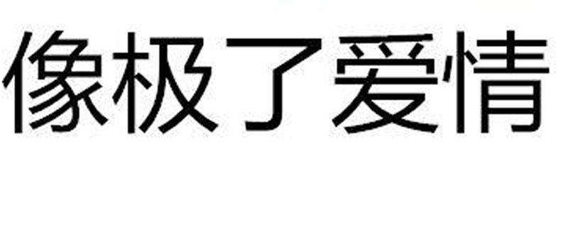 像极了爱情什么意思