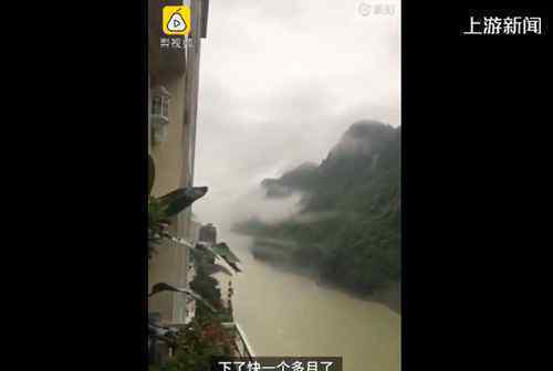 神仙阳台房主衣服晾1个月未干 空气潮湿“仙气”太足