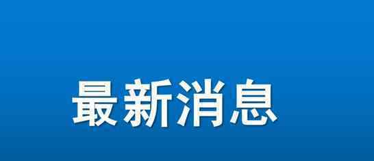山东回应查处242起高考冒名顶替事件 立法机关：建议将“冒名顶替上学”入刑