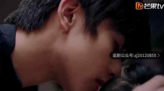 以家人之名免费观看全集 1-40集完整策驰影院