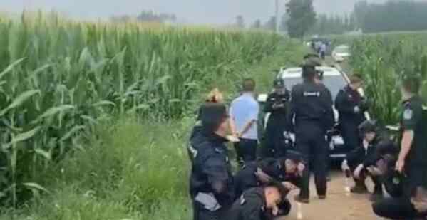 河北女孩遭绑架杀害嫌疑人被抓 女童绑架案事发经过详情回顾