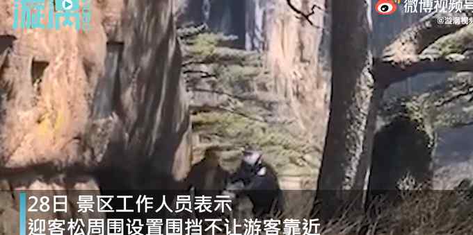 胆真大！男子翻越黄山迎客松围栏被拽回 网友：看着都害怕！