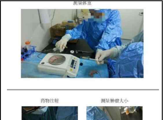 李红良学术造假事件 李红良个人资料简介