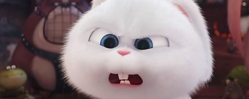 爱宠大机密兔子叫什么