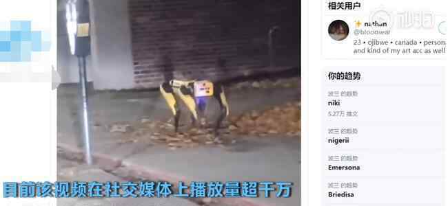 机器狗夜晚独自在街头游荡 到底是什么状况？
