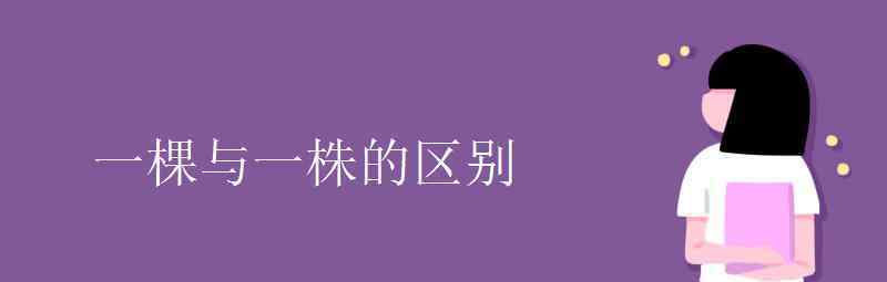 语文知识：一棵与一株的区别 具体是啥情况?