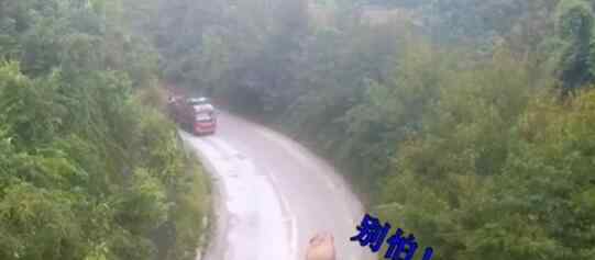 云南警方出动无人机侦查 意外记录大象遇上卡车罕见现场