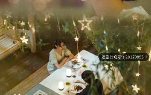 电视剧免费观看 全24集高清在线看