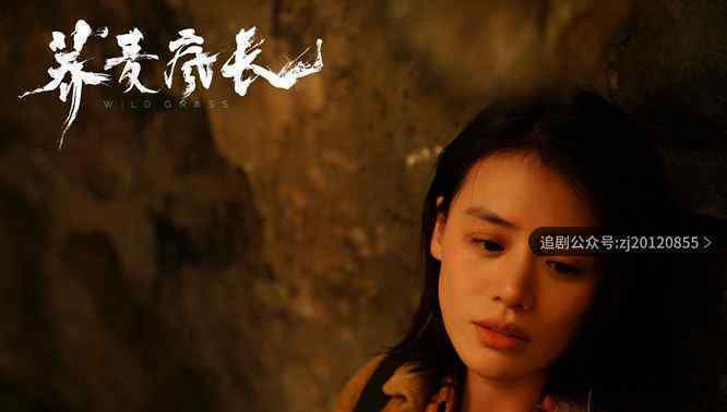 荞麦疯长电影云荞被谁强 未删减版抢先免费观看
