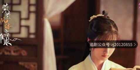 萦萦夙语亦难求更新时间什么时候更新 每周几更新几集