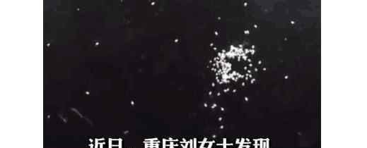 女子家冰箱出现小白点以为是灰 凑近一看头皮发麻