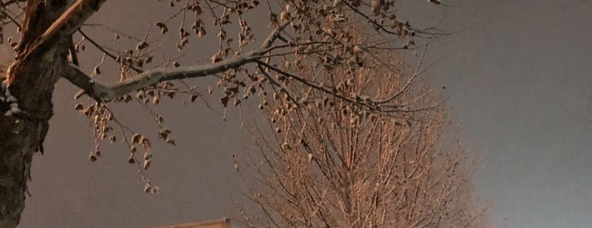 你打算什么时候去见那个你超级想见的人bgm是什么