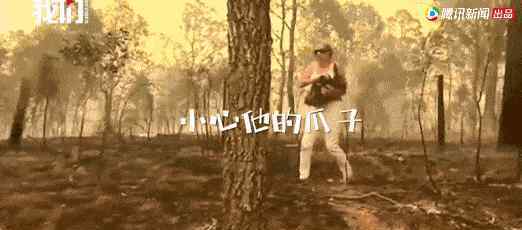 萨姆的野外生存 豆瓣只有5人看过，这良心片不应该被忽略