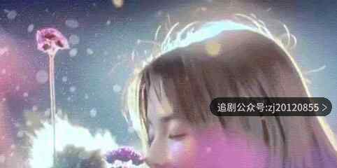 全集免费观看 1-24集手机播放策驰影院