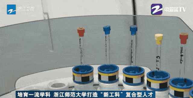 浙师大选课系统 全国仅四所！培养本硕衔接的“双学科”教师！