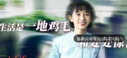 二十不惑在线观看视频免费 全集免费观看完整版