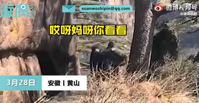 胆真大！男子翻越黄山迎客松围栏被拽回 网友：看着都害怕！
