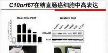 云南科协调查小学生研究癌症获奖 前情回顾