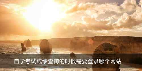 河南自考网成绩查询 自学考试成绩查询的时候需要登录哪个网站