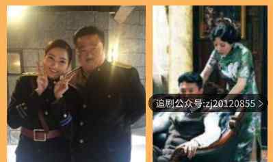 胜算电视剧免费完整版 1-40全集在线观看
