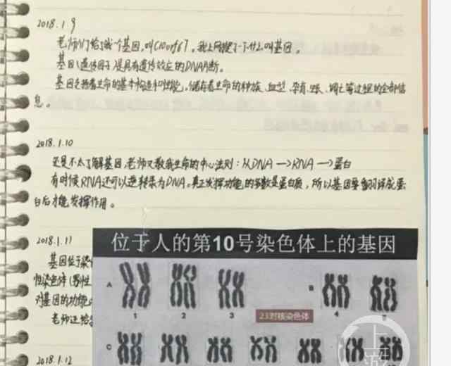 小学生研究基因获全国大奖引质疑什么情况 事件真相是什么