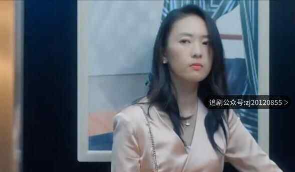 三十而已什么时候开播 上映在哪播出更新时间