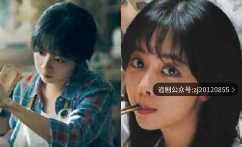 以家人之名是什么小说改编的 小说哪里可以看免费阅读全集
