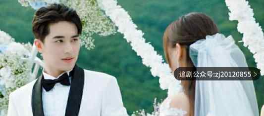 仲夏满天星电视剧全集免费观看 1-24集高清在线观看