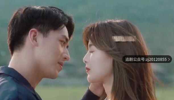 仲夏满天星电视剧在线看 全24集天天免费观看