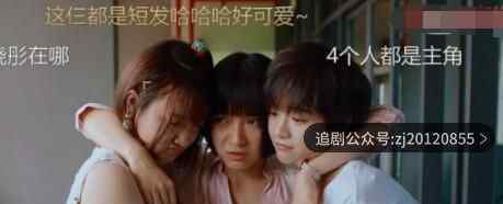 二十不惑电视剧免费观看全集 在线资源策驰影院