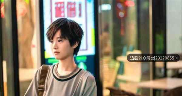 二十不惑电视剧免费观看完整版 策驰在线观看视频免费