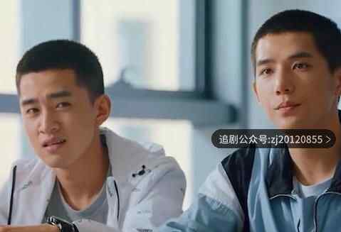 二十不惑在线观看视频免费 全集资源网盘链接