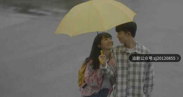 在线播放 西瓜影院全16集免费观看