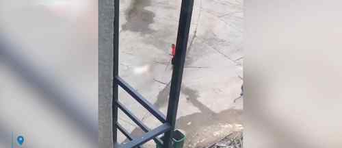 江西一男子因纠纷殴打一女子致死 案件详情是什么