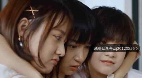 二十不惑电视剧在线观看 全集资源黑蚂蚁影院