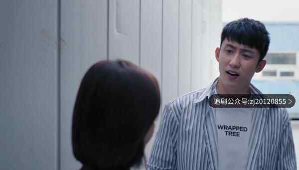 在线观看 手机完整看全集免费播放