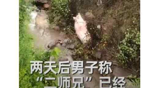 男子山沟里捡到活宝贝 网友直呼发财了结局却意外