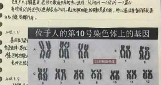 云南科协调查小学生研究癌症获奖 前情回顾