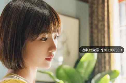 三十而已电视剧在哪里看 免费观看全集地址