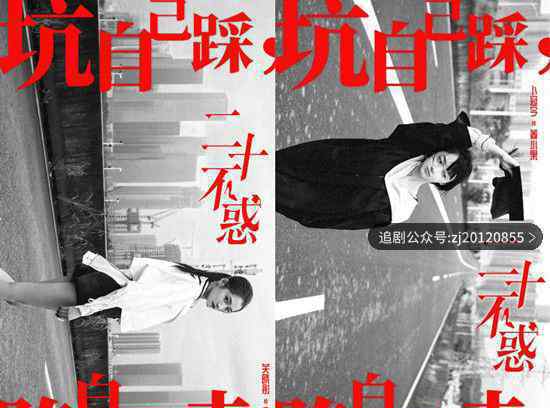 二十不惑电视剧免费观看 全集超清在线观看策驰影院